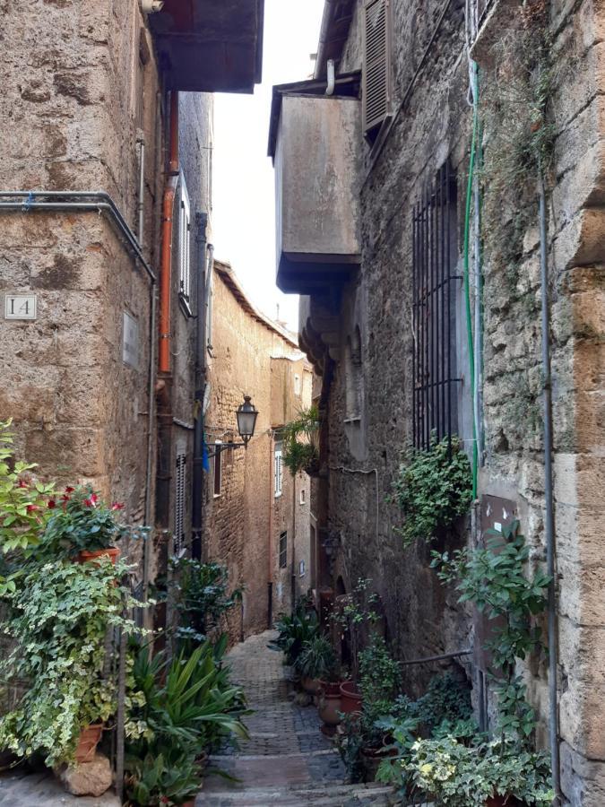 Historical Domus Daire Anagni Dış mekan fotoğraf