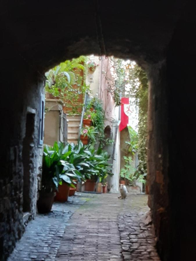 Historical Domus Daire Anagni Dış mekan fotoğraf