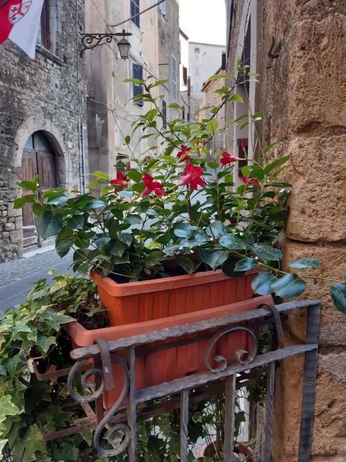 Historical Domus Daire Anagni Dış mekan fotoğraf