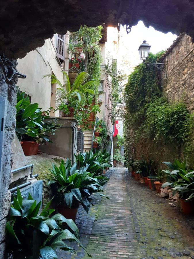 Historical Domus Daire Anagni Dış mekan fotoğraf